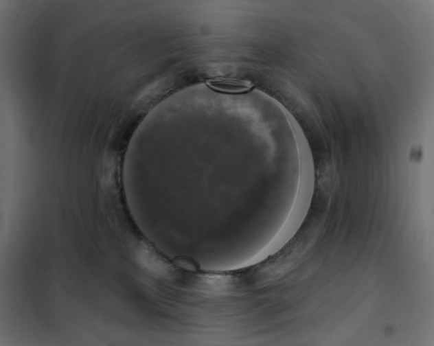 X0000101400233200807281010