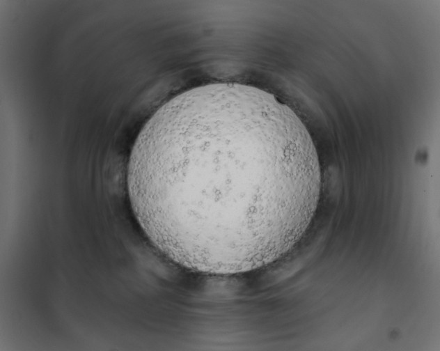 X0000101400234200807281010