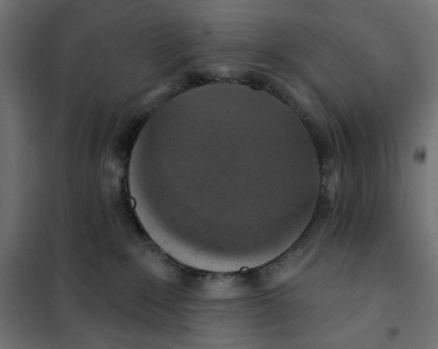 X0000101400235200807281010