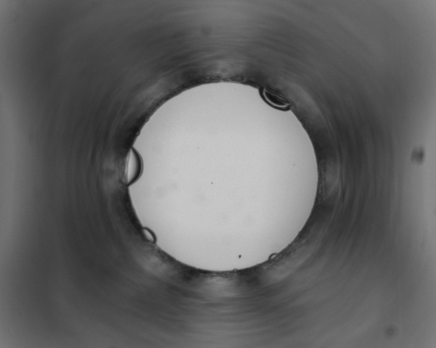 X0000101400236200807281010