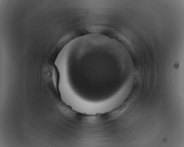 X0000101400237200807281010