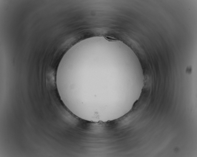 X0000101400238200807281010