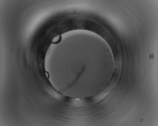 X0000101400239200807281010