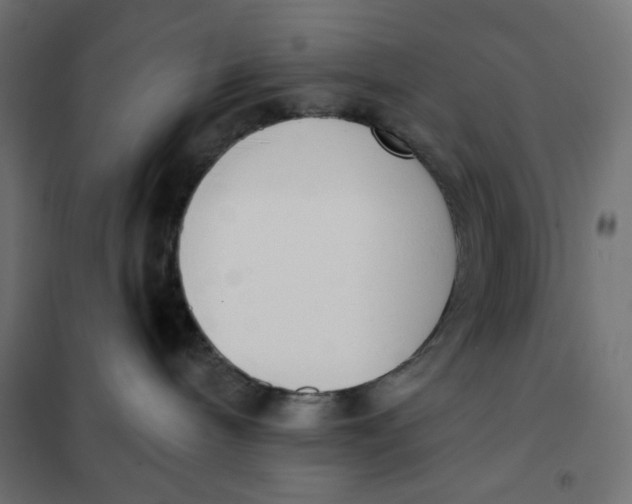 X0000101400240200807281010