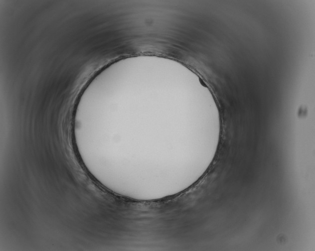 X0000101400241200807281009