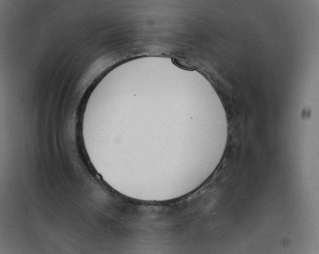 X0000101400242200807281009