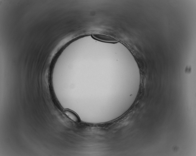 X0000101400244200807281009