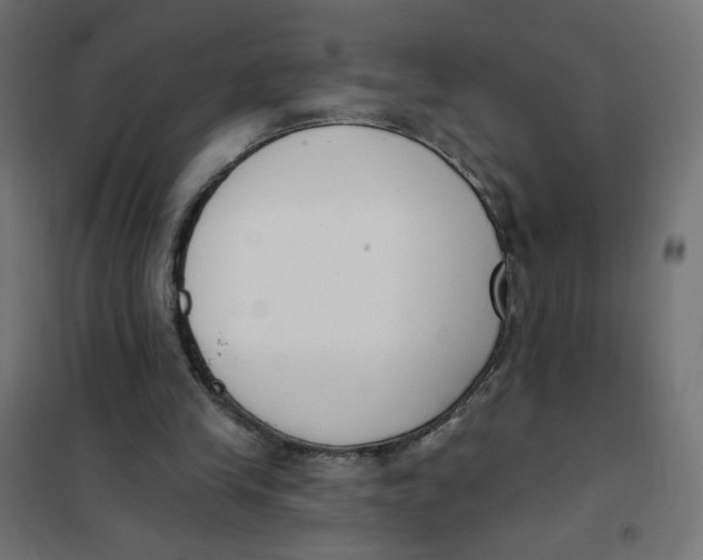 X0000101400245200807281009