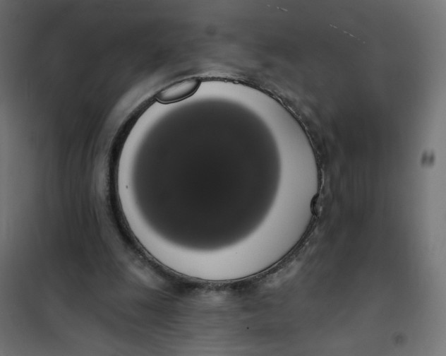 X0000101400247200807281009