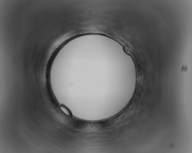 X0000101400248200807281009