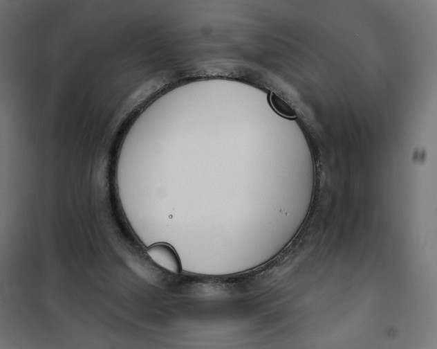 X0000101400250200807281009