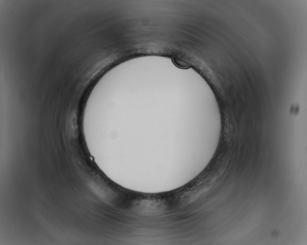 X0000101400251200807281009