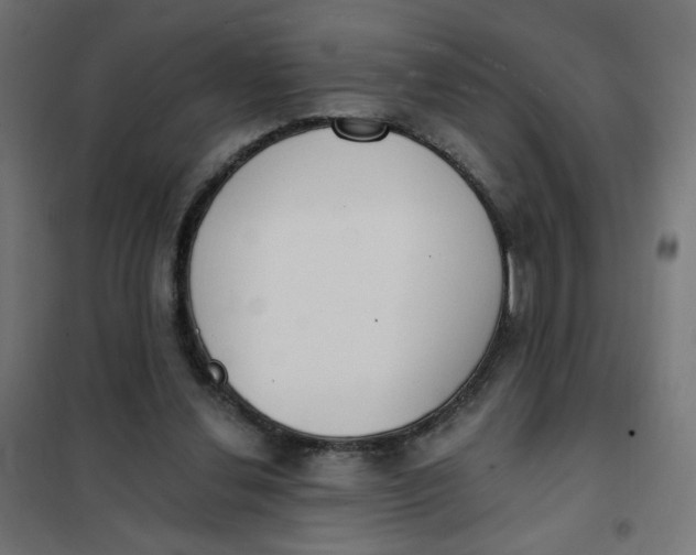 X0000101400252200807281009