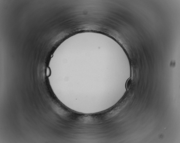 X0000101400253200807281009