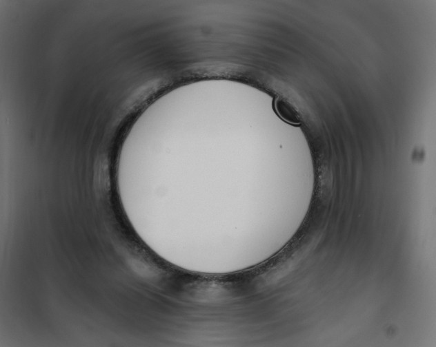 X0000101400254200807281009