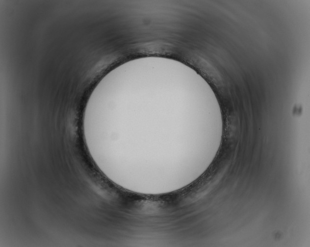 X0000101400255200807281009