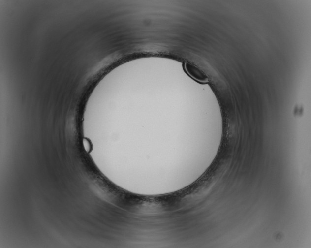 X0000101400256200807281009