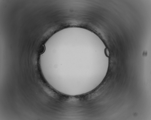 X0000101400257200807281009