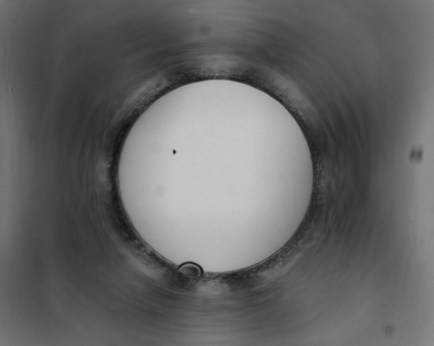 X0000101400258200807281009