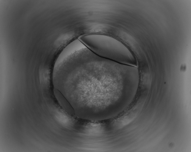 X0000101400260200807281009