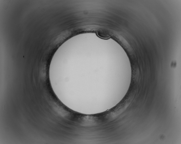 X0000101400261200807281009