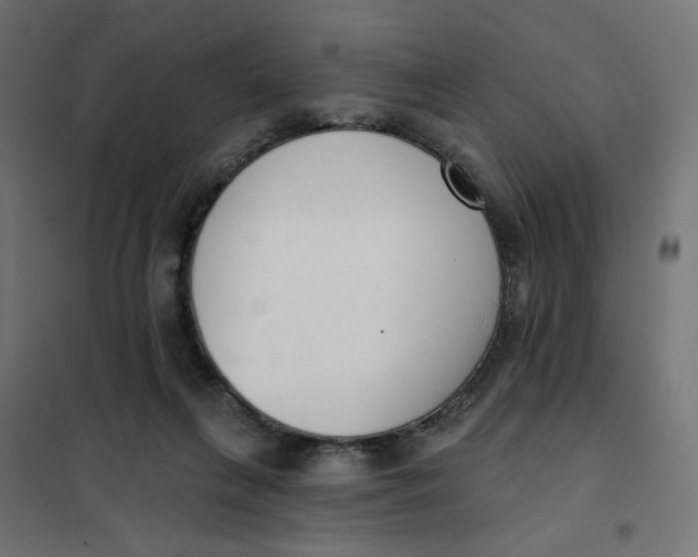 X0000101400263200807281009