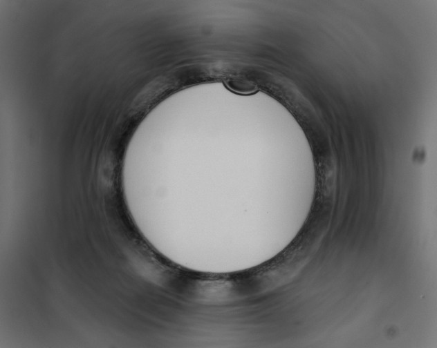 X0000101400266200807281009