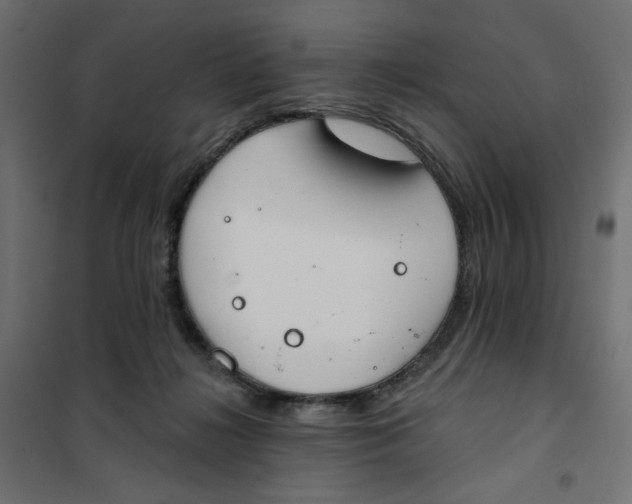 X0000101400268200807281009