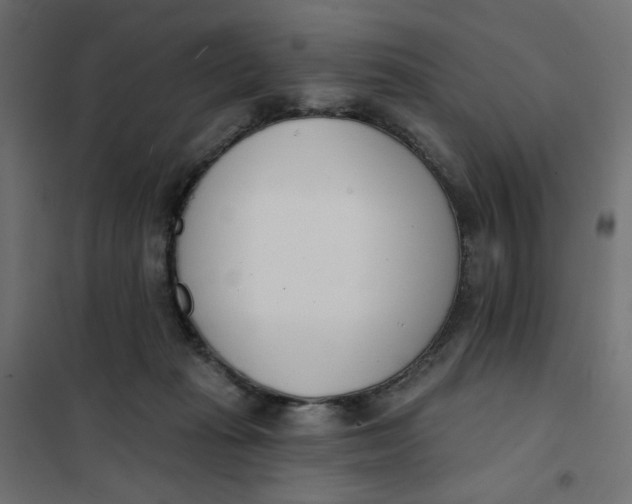 X0000101400269200807281009