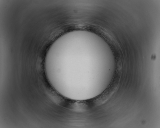 X0000101400270200807281009