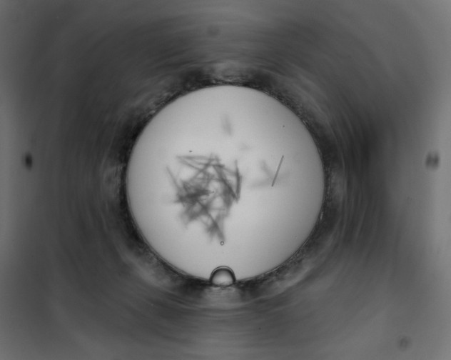 X0000101400271200807281009