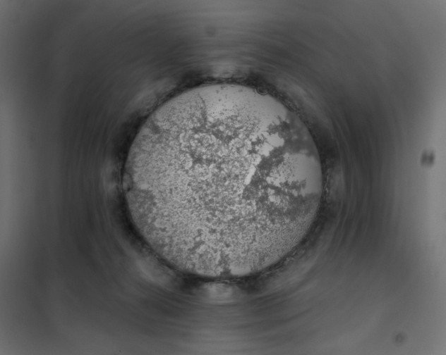 X0000101400272200807281009