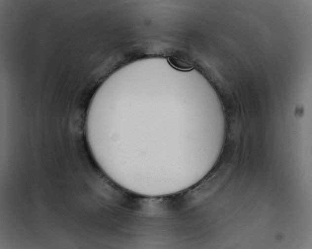 X0000101400273200807281009