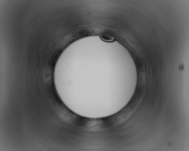 X0000101400274200807281009