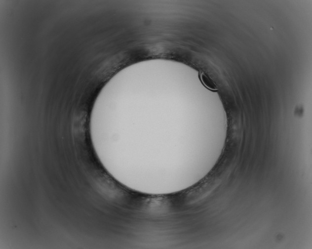 X0000101400275200807281009