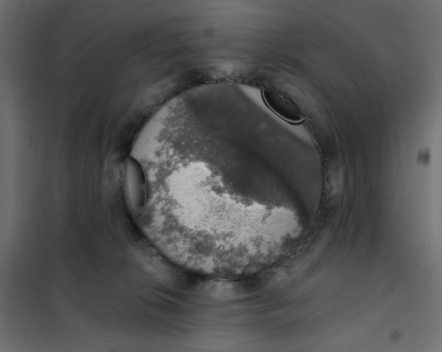 X0000101400276200807281009