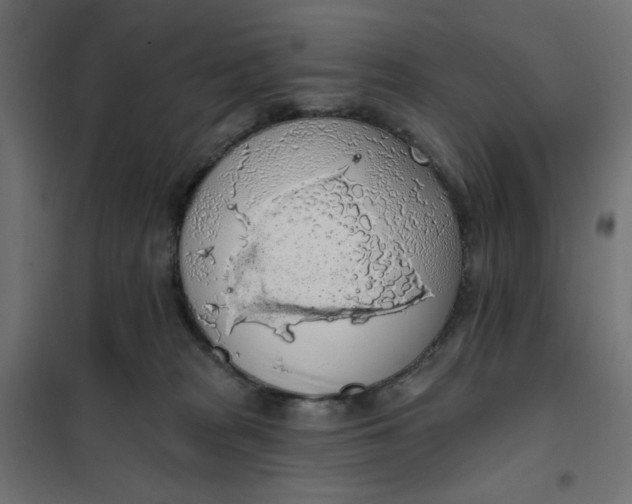 X0000101400277200807281009