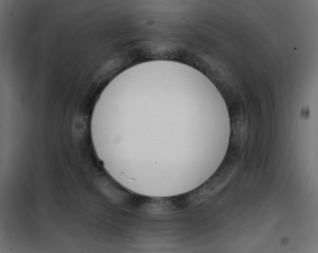 X0000101400278200807281009