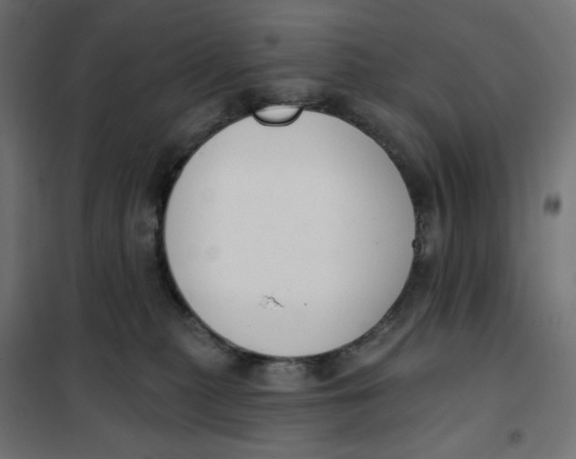 X0000101400279200807281009