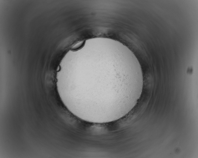 X0000101400280200807281009