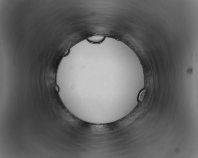 X0000101400281200807281009