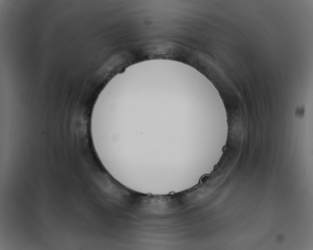 X0000101400282200807281009