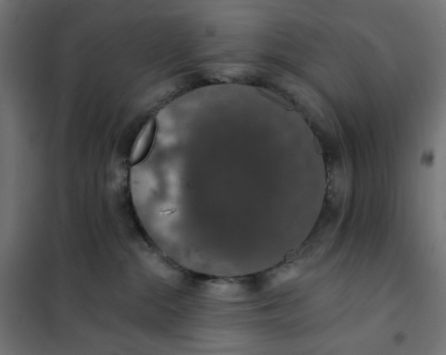 X0000101400284200807281009