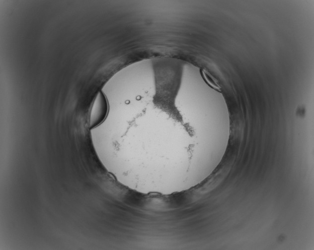 X0000101400285200807281009