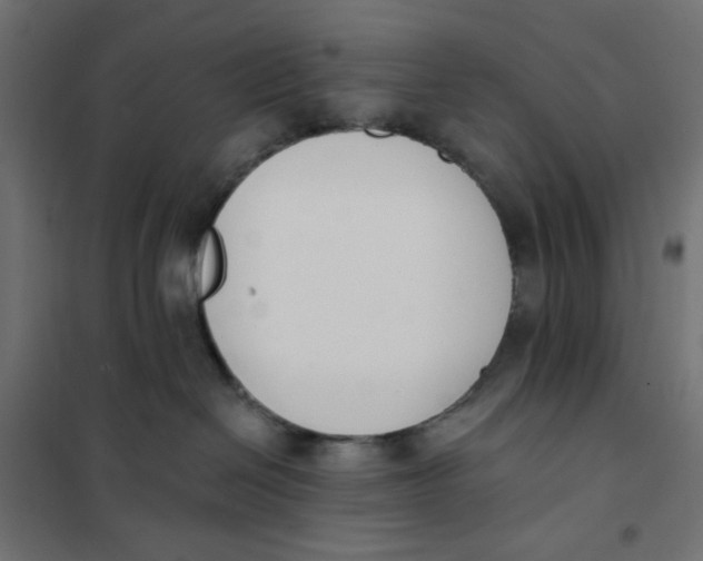 X0000101400286200807281009