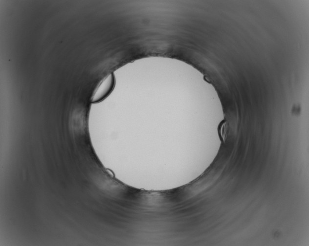 X0000101400287200807281009