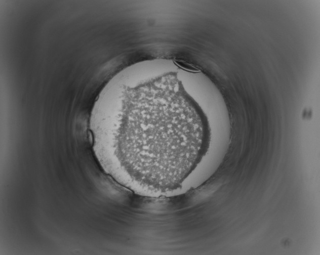 X0000101400288200807281010