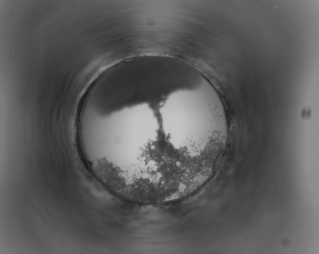 X0000101400290200807281009