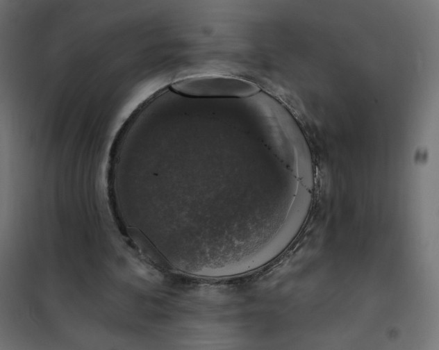 X0000101400292200807281009