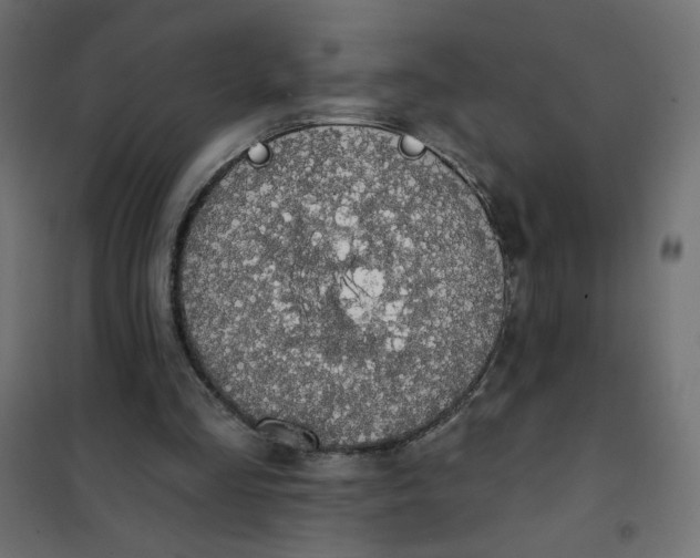 X0000101400293200807281009